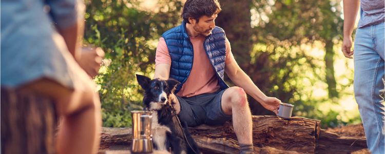 Couple camping in the woods with their dog