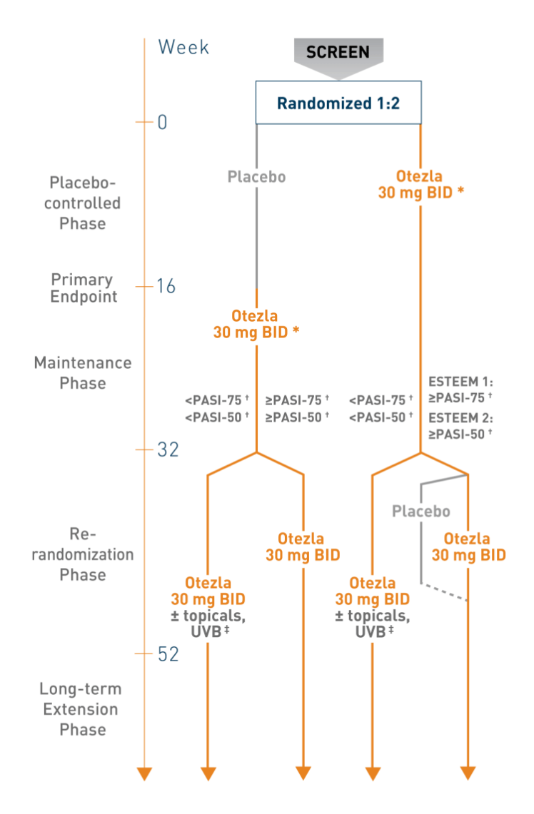 Timeline chart that represents the ESTEEM 1 and ESTEEM 2 study designs to treat plaque psoriasis in Otezla patients through 52 weeks