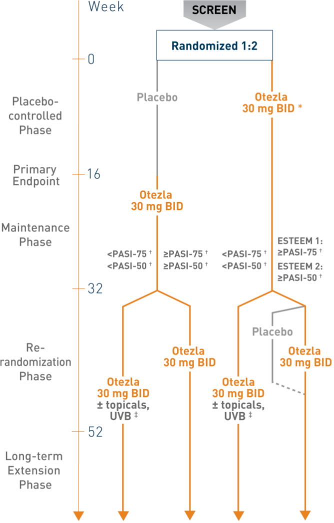 Timeline chart that represents the ESTEEM 1 and ESTEEM 2 study designs to treat plaque psoriasis in Otezla patients through 52 weeks