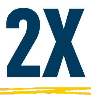 2X icon